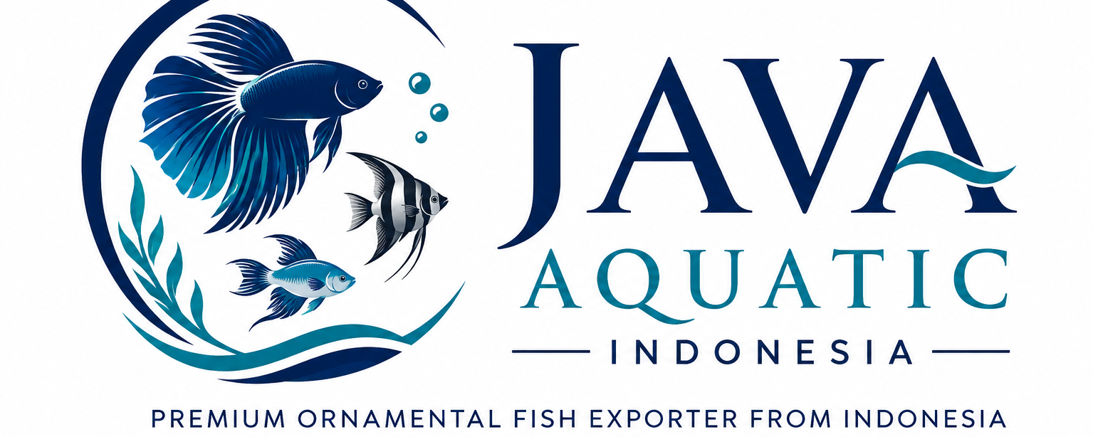 Premium Ornamental Fish Exporter from Indonesia